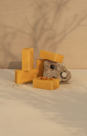 sanddorn